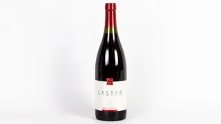 Vino Pinot Noir Lastar