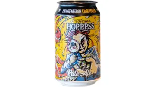 PIVO PALE ALE PROFESOR HOPPSS 0,33L