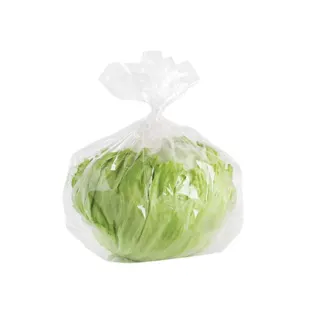 SALATA ICEBERG