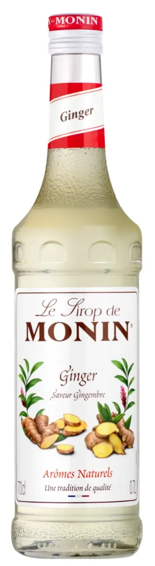 SIRUP MONIN DJUMBIR 0.7L