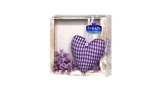SALVETE FRESH SRCE&JORGOVAN 3sl 20/1 33x33