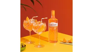 Dzin Gordon's Mediterranean Orange 0.7l