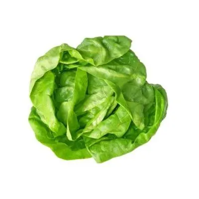 SALATA ZELENA