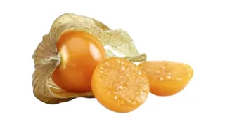 FIZALIS ŽUTI 100G