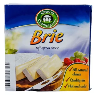 BRIE P.MASNI SIR SA BELOM PL. 50%mm 125g