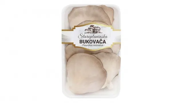 BUKOVACA ORGANSKA STAROPLANINSKA 200GR VOCE I POVRCE