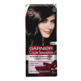 Farba/kosu prestige brown Garnier 3.0