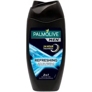 Gel/tusir.men Pure Arctic Palmol.250ml
