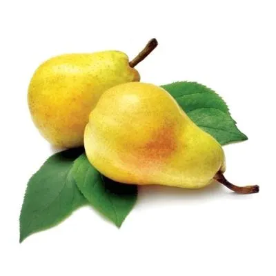 JABUKA ČELENDŽER