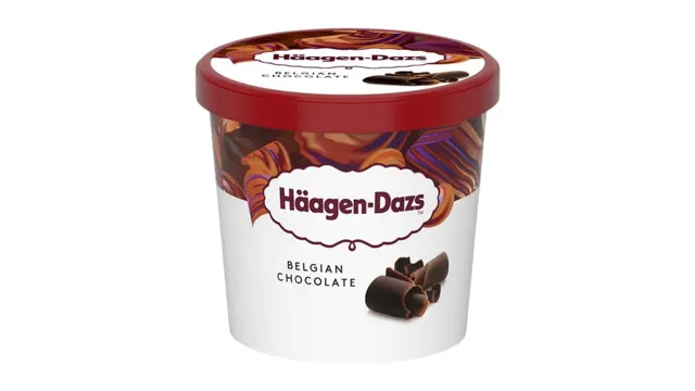SLADOLED HAGEEN DAZS BELGIAN CHOC. CASICA 95ML HAAGEN DAZS