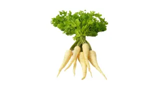 PERSUN KOREN 400G