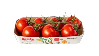 PARADAJZ KOKTEL HARMONY RAJSKA 500GR WFC