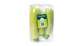 TIKVICE ORGANSKE 500 GR ORGANICO