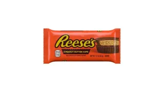 REESES DESERT 42G