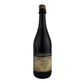 VINO PENUŠAVO LAMBRUSCO DELL' EMILIA 0.75L CALDIROLA
