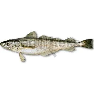 OSLIĆ PRODUCTUS UG RFZ 300-600 FRIK 10 kg FRIKOM
