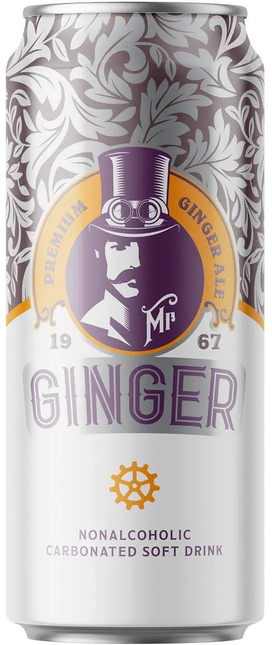 SOK GAZIRANI OD DJUMBIRA MR GINGER 250ML MR.GINGER