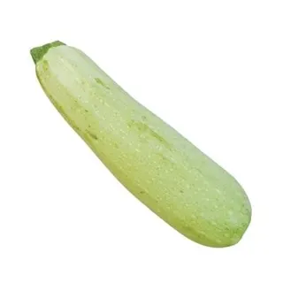 TIKVICA BELA