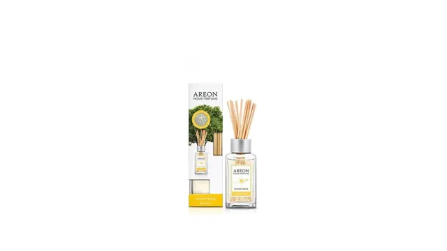 Stapici Areon Sunny Home 85ml Areon