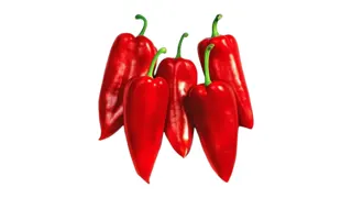PAPRIKA CRVENA ORGANSKA 400 GR ORGANICO