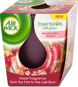 SVEĆA MIRISNA AIR WICK TESLA MOUNTAIN BERRY R&B