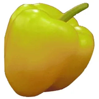 PAPRIKA BABURA TRICOLORE