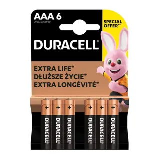 DURACELL Basic AAA 6/1