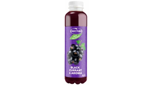 Nije svejedno black currant Pet 0.5L Nectar NECTAR