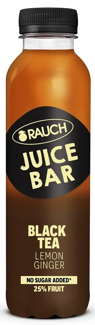 Ledeni caj crni caj RJB 0.5l Juice bar