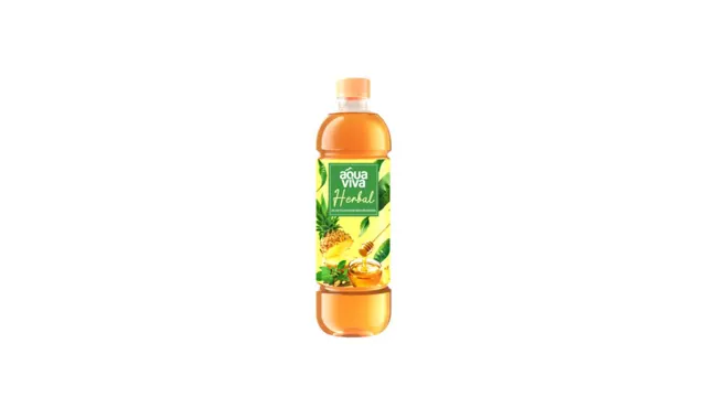 VODA AQUA VIVA HERBAL ANANAS ASVAGANDA 0,5L PET HERBAL