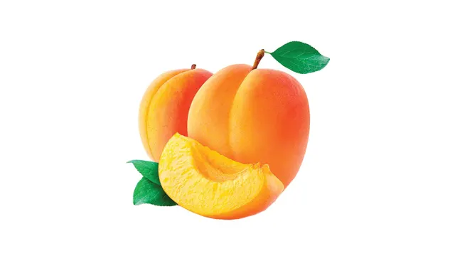 KAJSIJA ORGANSKA 500 GR ORGANICO LANZAR 2000 DOO