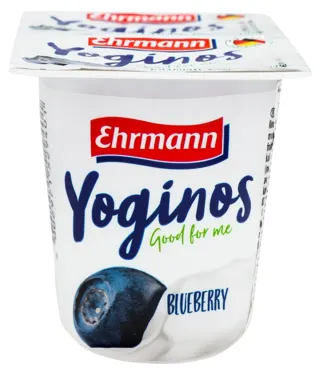 VOCNI JOGURT BLUEBERRY 100G YOGINOS