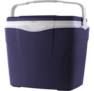 Piknik frizider 32l mix boje Antartica Worts