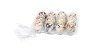 JAJA OD JAPANSKE PREPELICE EGG TRADE 12/1