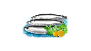 Papalina UG 10kg Frikom
