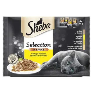 Hr.za macke zivina,sos kesica Sheba4x85g