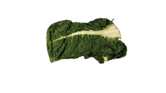 Bio blitva domaca 100g Nature's Promise