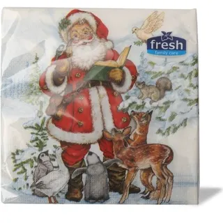 Fresh Dekor salveta 20/1 Deda Mraz