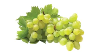 BIO GROŽĐE BELO 500G