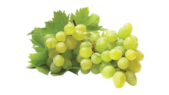 BIO GROŽĐE BELO 500G ORGANSKO VIP
