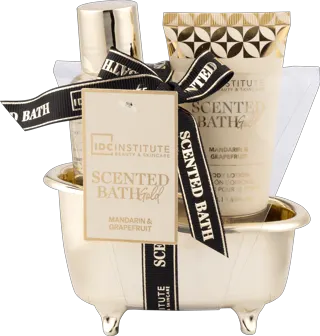 IDC INSTITUTE SPA set Gold mini