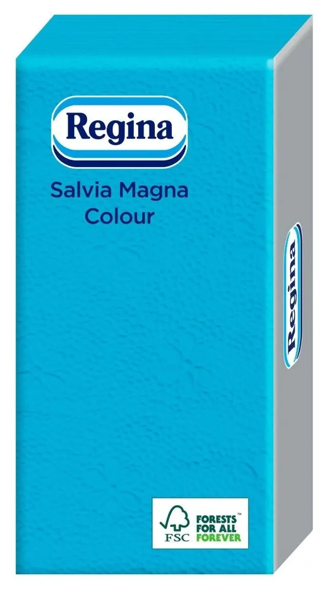 SALVETE REGINA SALVIA COLOR 30/1 30X28 BEVETTI
