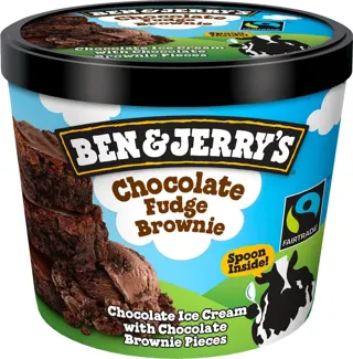 SLADOLED CHOCOLATE FUDGE BROWNE 100ML BEN&JERRY