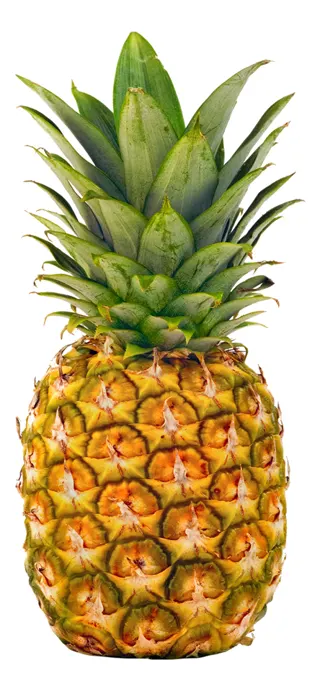 Ananas bez krune komad
