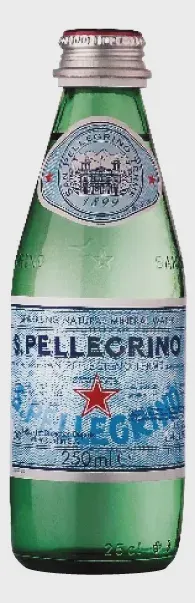 0.25L SAN PELLEGRINO GAZ VODA-STAND.-VAR.