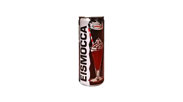 Eiskaffee Mocca 2.4%mm 250ml Hochwald