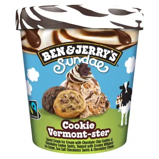 B&J Cookie Vermont 427ml