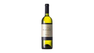 VINO MALVAZIJA ISTRASKA 0.75L BENVENUTI
