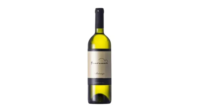 VINO MALVAZIJA ISTRASKA 0.75L BENVENUTI SUPERNOVA