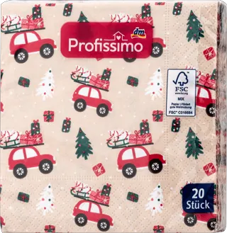 Profissimo salv. auto 25x25cm 20kom*D*B*